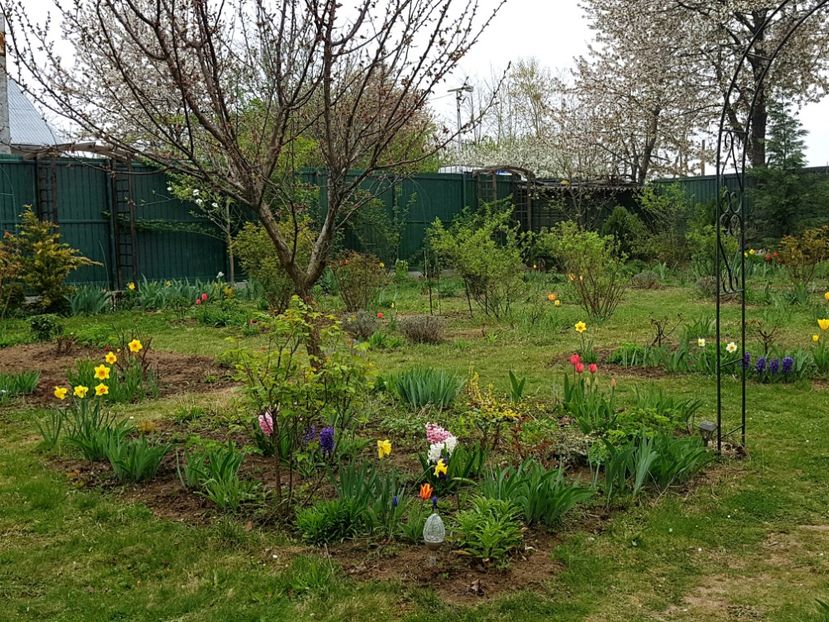  - 2019 Idilic garden