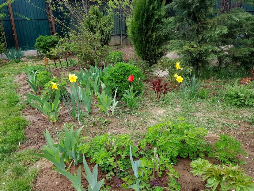 - 2019 Idilic garden