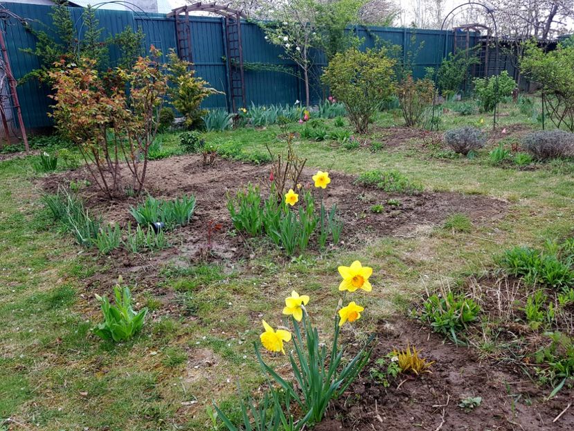  - 2019 Idilic garden