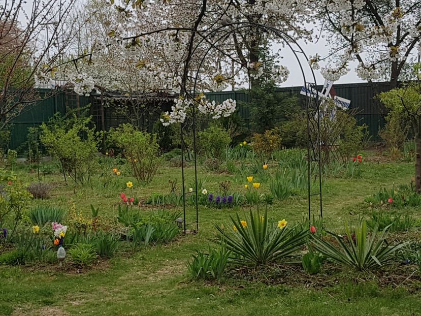  - 2019 Idilic garden