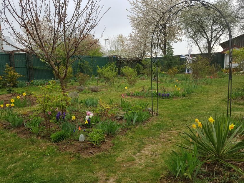  - 2019 Idilic garden