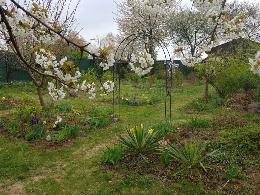  - 2019 Idilic garden