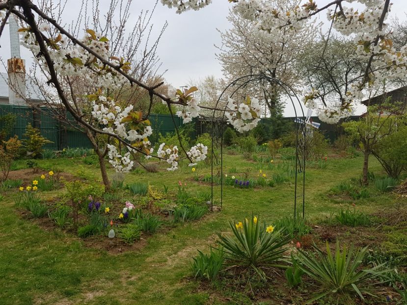  - 2019 Idilic garden