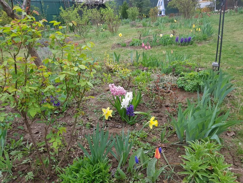  - 2019 Idilic garden