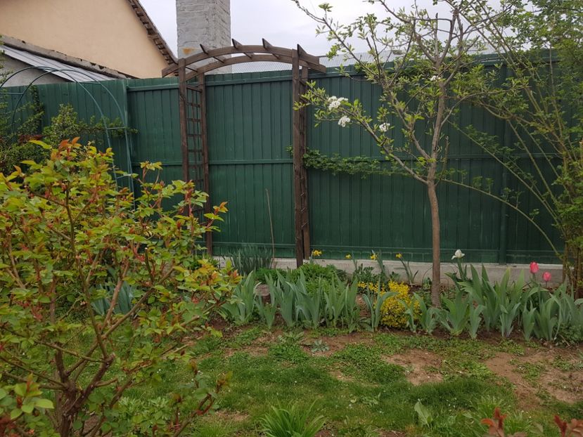  - 2019 Idilic garden