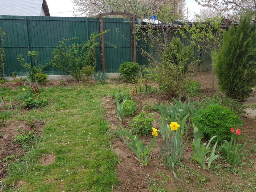  - 2019 Idilic garden