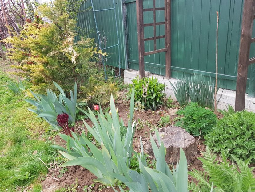  - 2019 Idilic garden