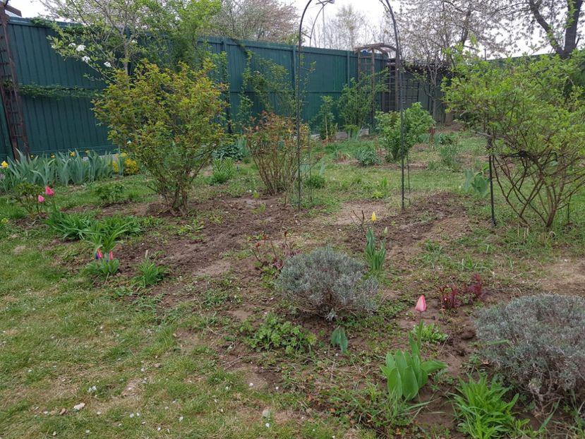  - 2019 Idilic garden