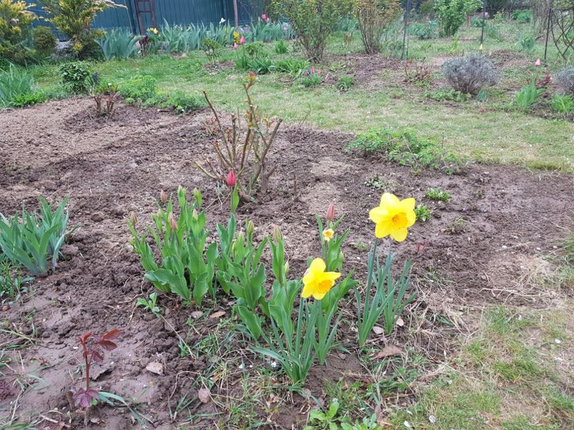  - 2019 Idilic garden