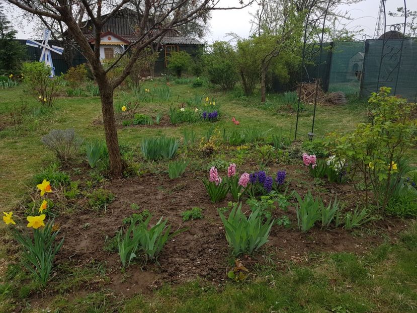  - 2019 Idilic garden
