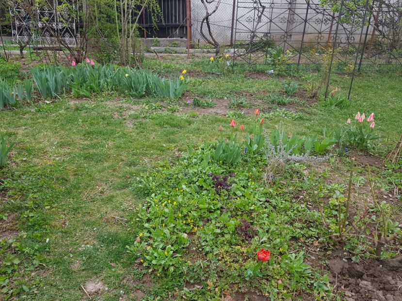  - 2019 Idilic garden