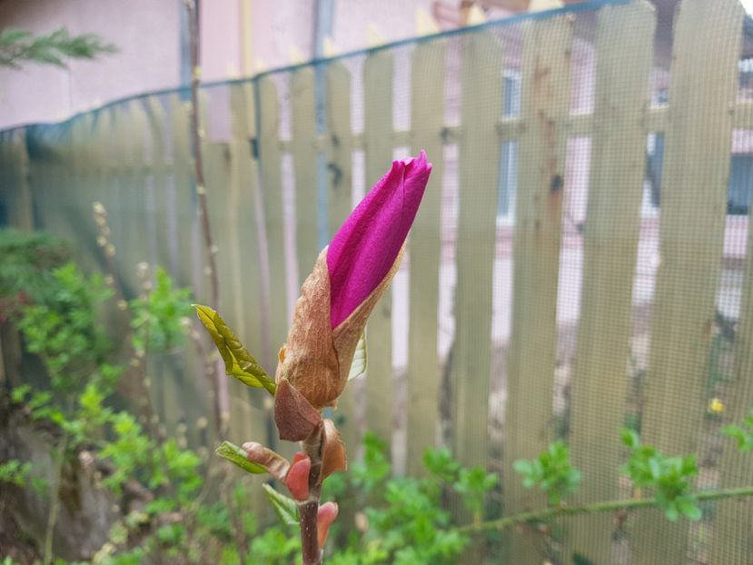 Genie are boboc doar ca seamana cu Suzane ! - 2019 Aprilie