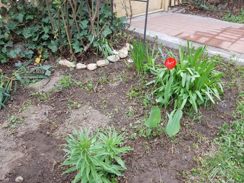 Zona desburuienita ... - 2019 Aprilie