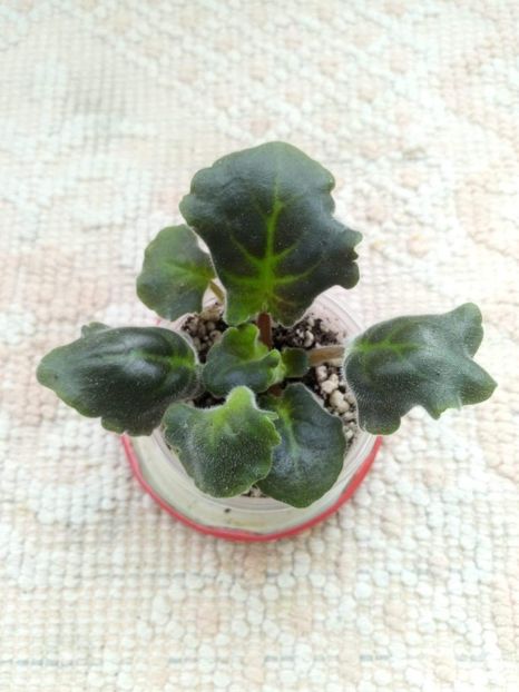 7 apr - SM Tanec Galaktik