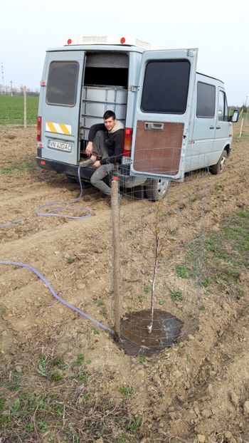  - Livada 1 anul ll 2019