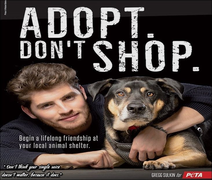 ϟ☾.єครt ☼F Eᴅᴇɴ ☪☂. [cl] pot sa mai ajut si eu cu gatitul si poate nu se mai plang atat - SO2xE05 Some ll say its a reverse