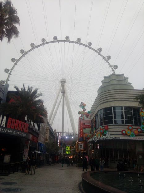  - Las vegas