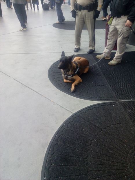  - Las vegas