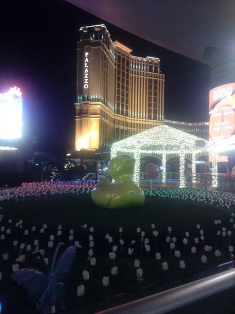  - Las vegas