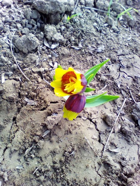  - curtea cu toate cele 2019