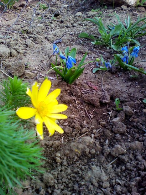  - curtea cu toate cele 2019