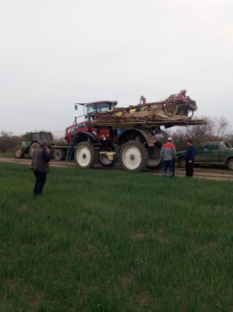 Bzaos Grau 1 - Bazos TM Tratament 1 Grau 8 aprilie 2019