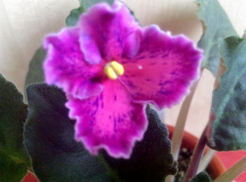  - Sunset Kiss de la Bogdan