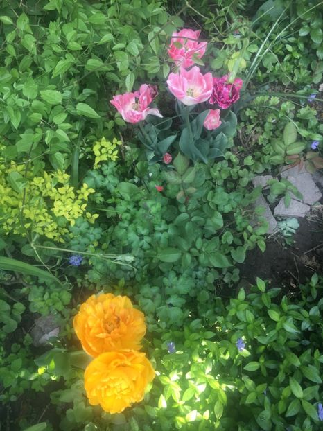 117C5C55-4412-4E7D-9E0E-02712A90451D - Aprilie