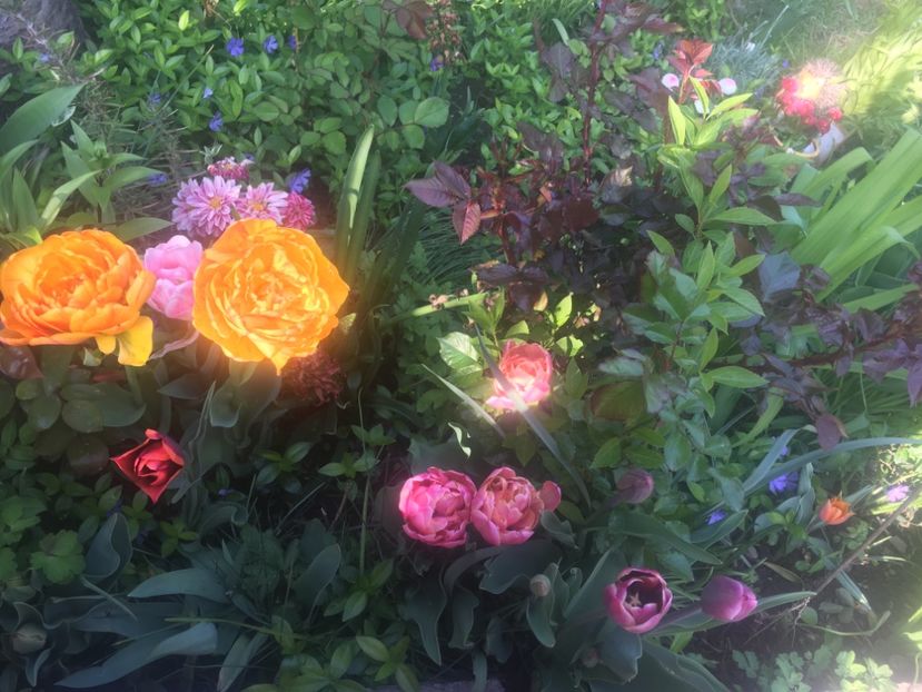 763C4490-A0E4-4926-B31C-A6E7981731A8 - Aprilie