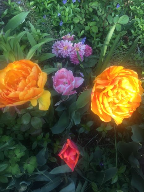 73120D27-5ED3-47A9-9BF1-CCDE9051A921 - Aprilie