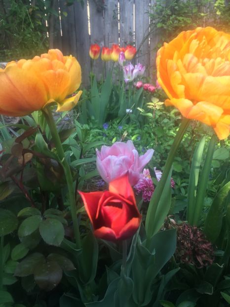 9E6139B4-3768-4753-A268-2C9505E7863C - Aprilie