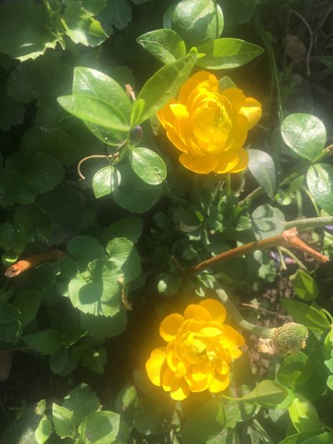 2371A0DD-0BE3-4B10-A130-D06A88E587B5 - Aprilie