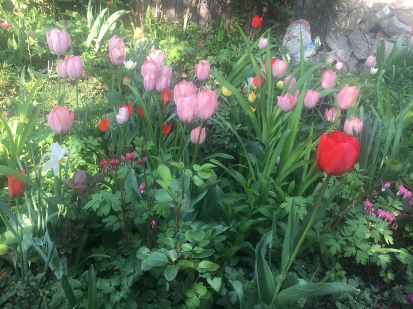 B37BF750-797C-4E6B-A13C-5366DD09F6EB - Aprilie