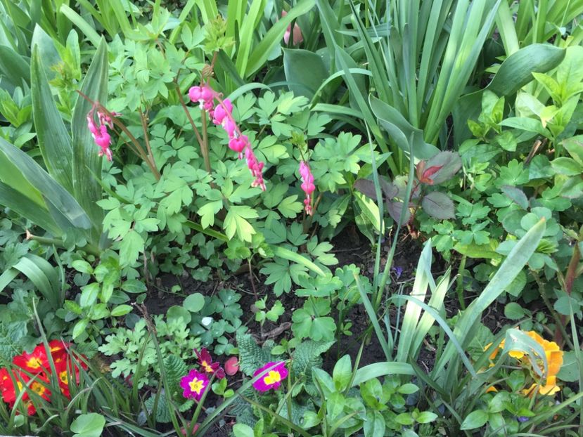 3D692E42-5159-4D5F-BC8A-574E8877D514 - Aprilie