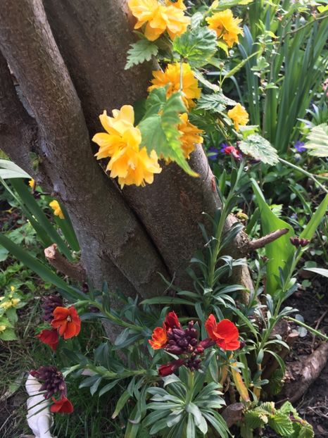 02DA53AF-1BFC-4BCD-A4FB-09C88D7F74A7 - Aprilie