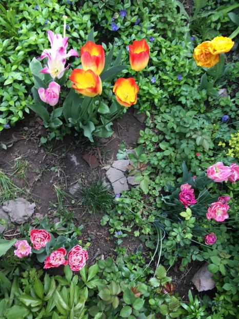 4F226BAF-AC87-497B-8E71-A062869775C9 - Aprilie