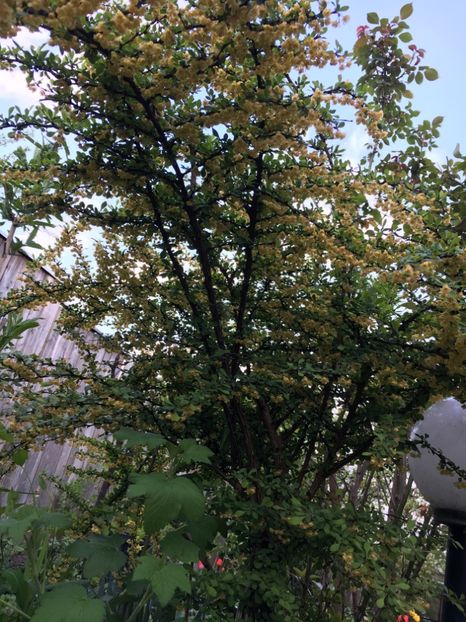 3C6C664B-2EB0-4A78-B6C5-2929F563C90E - Aprilie