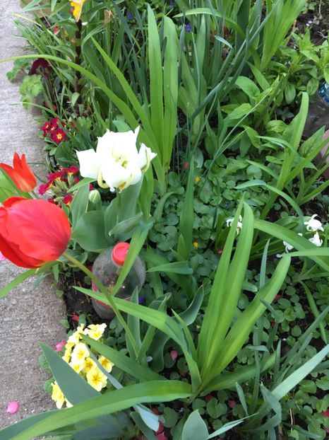 1EF507E9-B88C-46AC-9F11-C1EEE0327962 - Aprilie