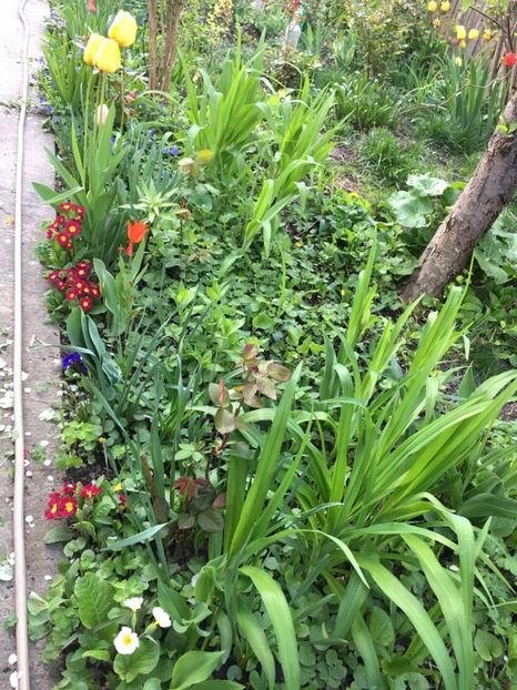 AB1218D0-6B41-4E51-9BAD-93445CB41FFD - Aprilie