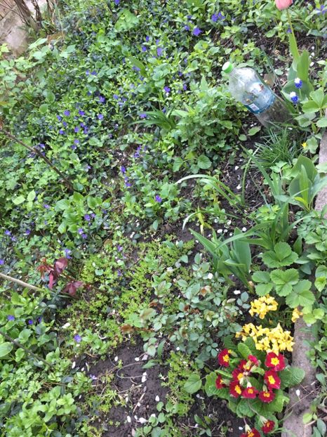 1C60F518-1186-4454-83AB-1D452F786393 - Aprilie