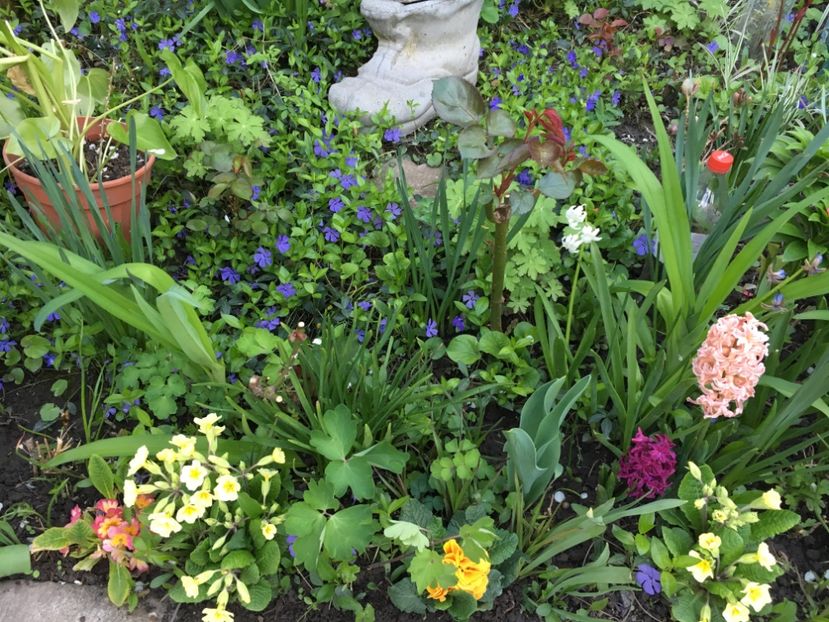 E4F6D05F-7946-4C57-9FAF-88AEE61E30C6 - Aprilie