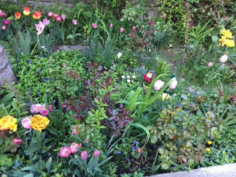 FF71D05C-9C96-49FA-8A3E-299220A8DDA2 - Aprilie