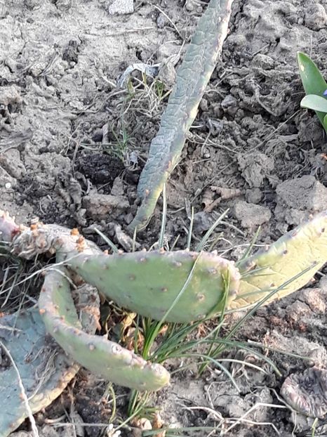  - Primavara 2019-2022