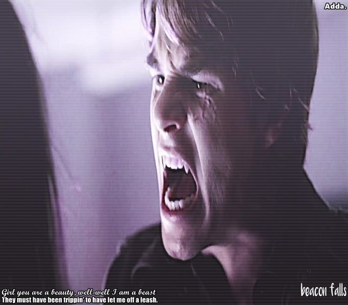 》Katieeeee, Katieeee. *o spune și abia se auzea de plăcuțele de la foișor ce se dărâmaseră - SO2xE06 Welcome to the jungle