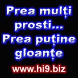 prea multi prosti prea putine gloante