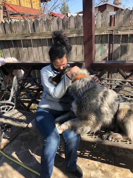 10.03.2019 - MARA DE CROITORU