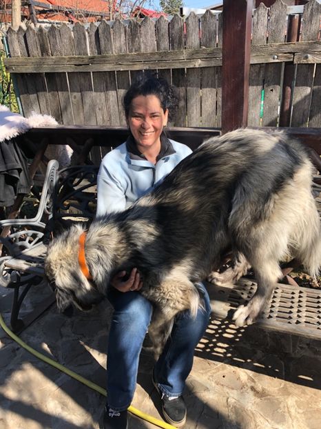 10.03.2019 - MARA DE CROITORU