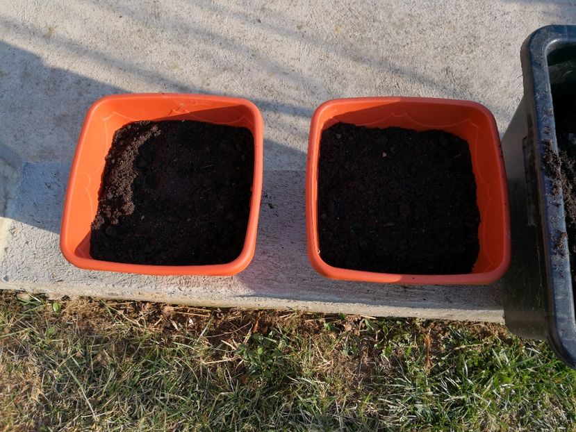  - X - Suport vertical pentru cultivarea capsunilor