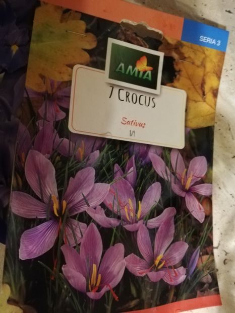  - Ultimele achizitii