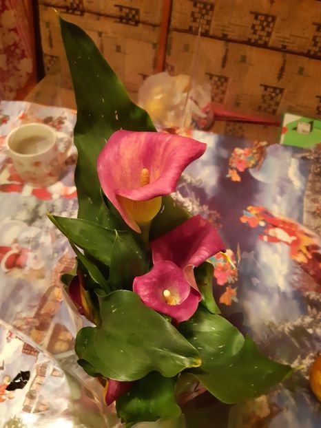 Cala roz - 1Flori 2019